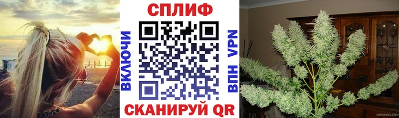 Где купить Шарыпово Марихуана  Псилоцибиновые грибы  ЭКСТАЗИ  Метадон  кракен ссылки  Мефедрон  Кокаин 