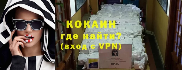 сатива Беслан