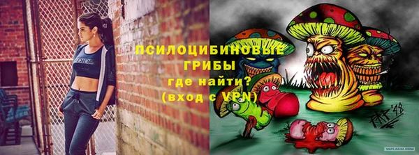 соль ск Остров
