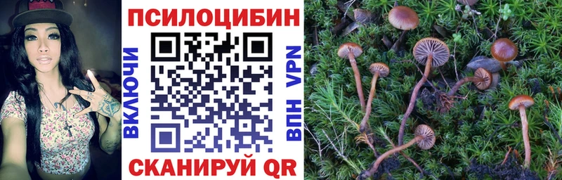 Галлюциногенные грибы прущие грибы  наркотики  Шарыпово 