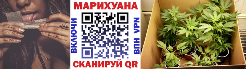 Канабис план  сколько стоит  Шарыпово 